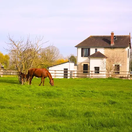 Villa La Cour Au Roi De Caractere Hotot-en-Auge
